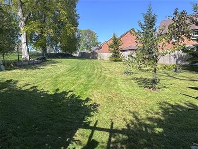 Picture 43